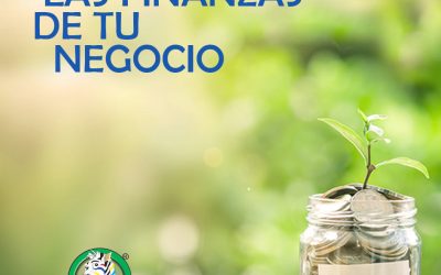 Protege tus finanzas